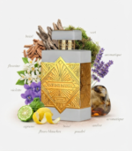 Infini Musk 100ml - Maison Alhambra