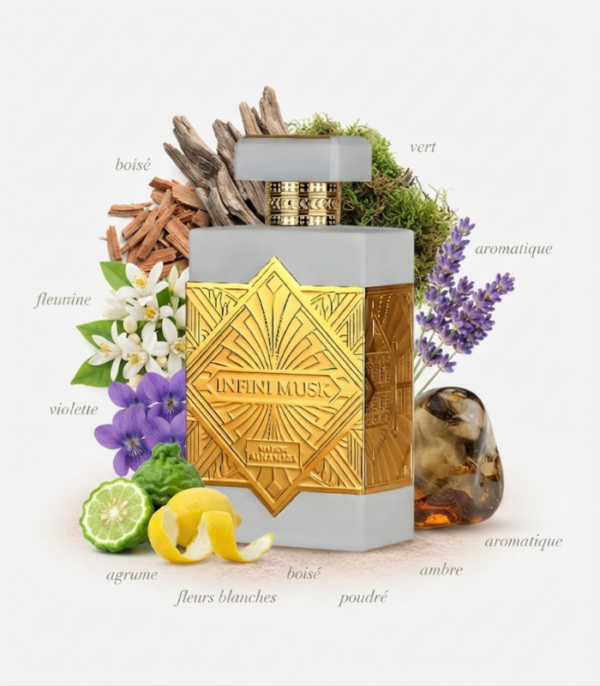 Infini Musk 100ml - Maison Alhambra