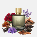 Impulse Oud