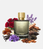 Impulse Oud